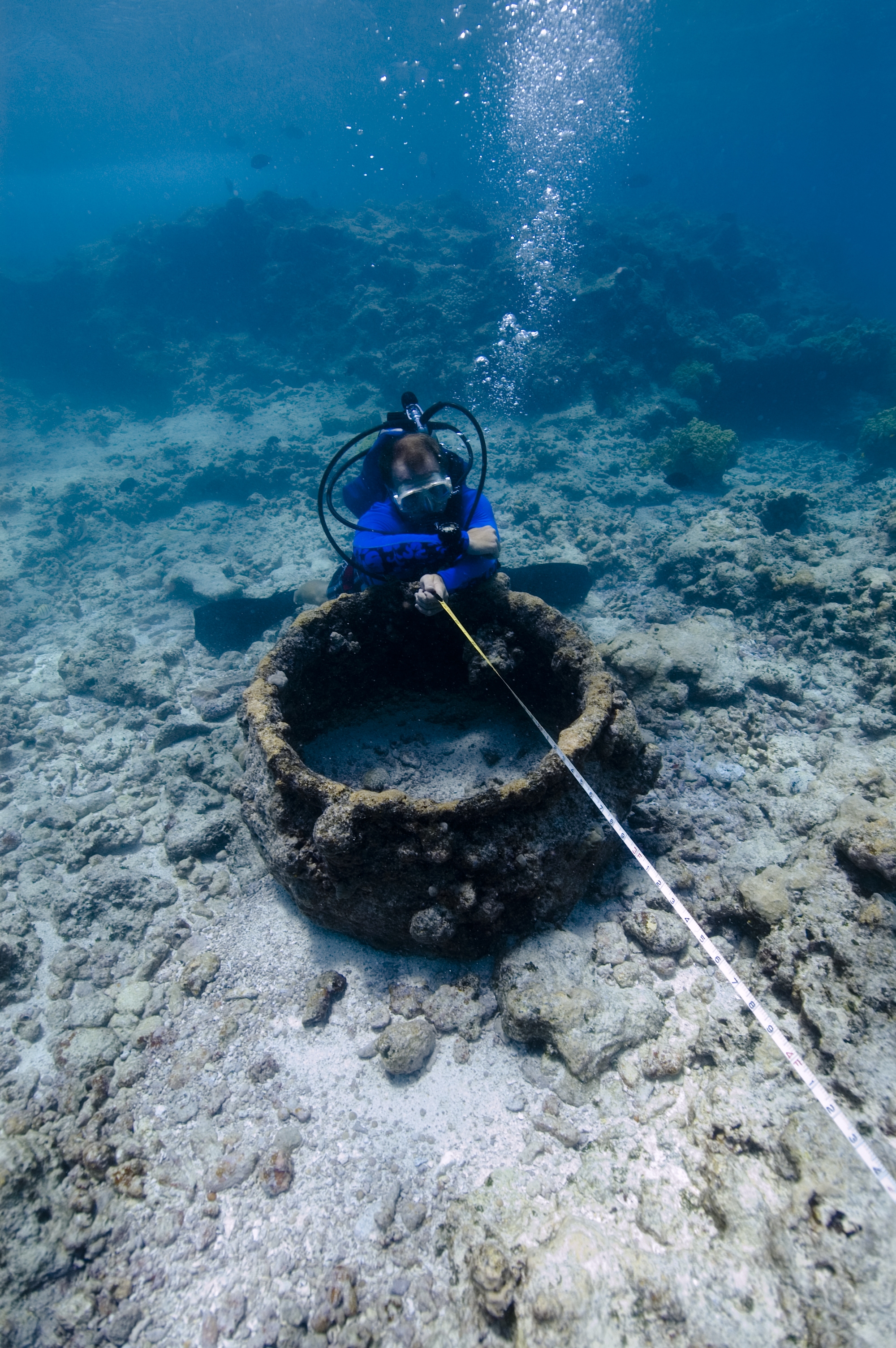 This is an image of the Two Brothers shipwreck, which is located in the Northwestern Hawaiian Islands.